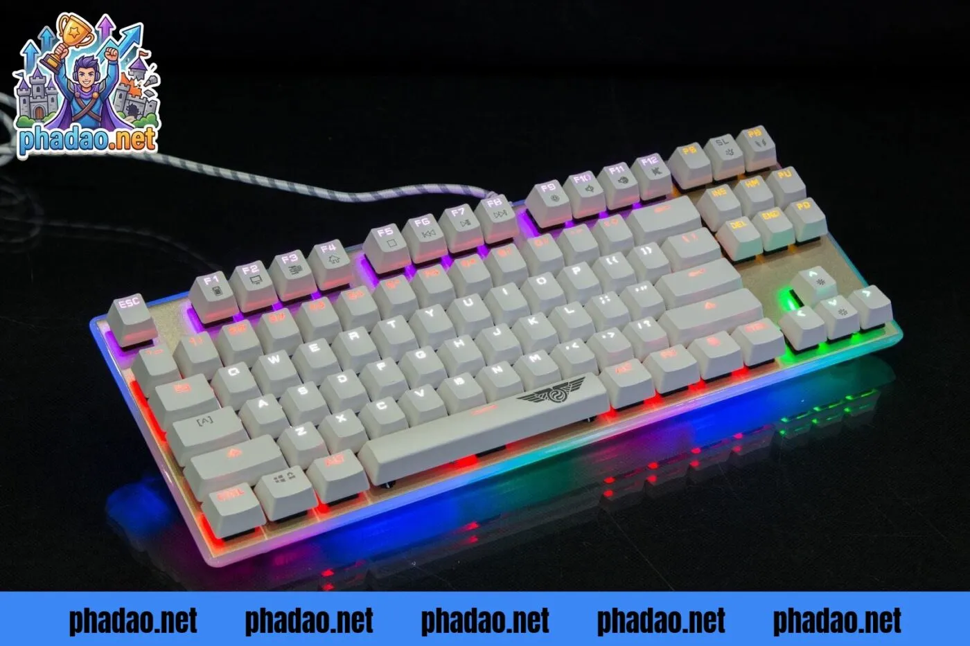 Top thương hiệu bàn phím cơ giá rẻ đáng mua cho game thủ và dân văn phòng